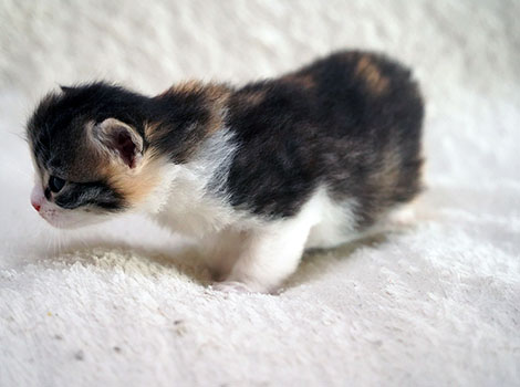 Nadeschda am 08.03.2025